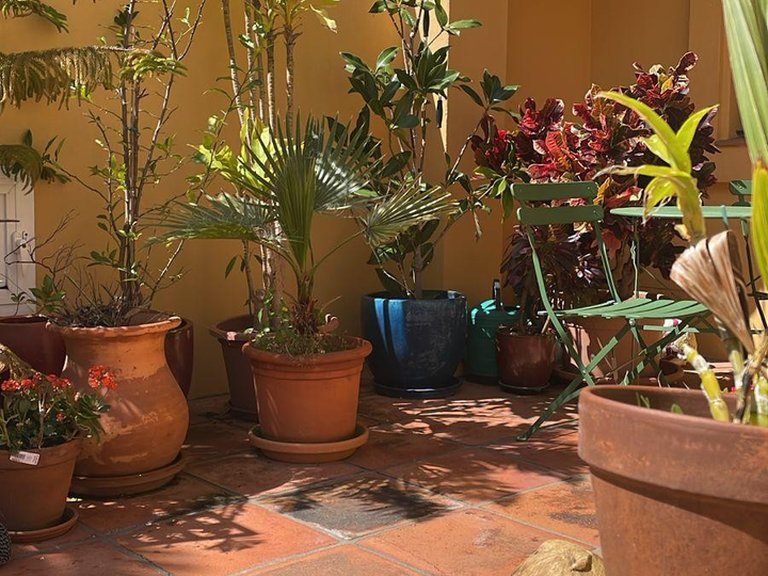 Villa for Sale in Sotogrande, Cadiz 7