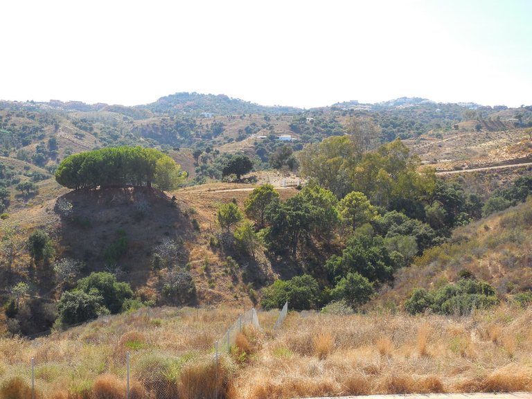 Plot for Sale in La Cala Golf, Malaga 4
