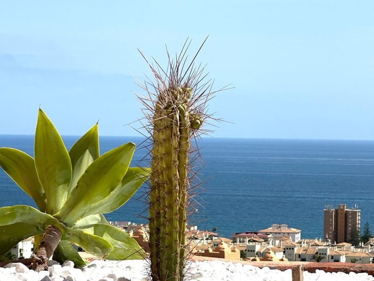 Apartment for Sale in La Duquesa, Malaga 12