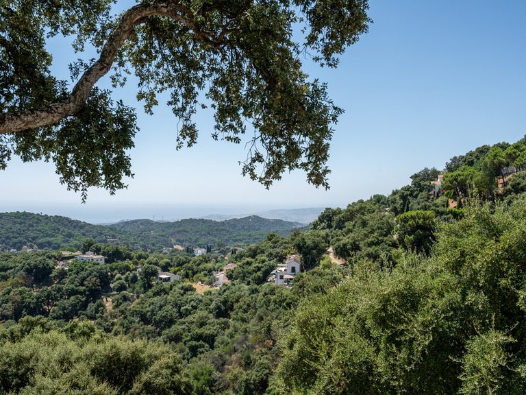 Villa for Sale in Casares, Malaga 18