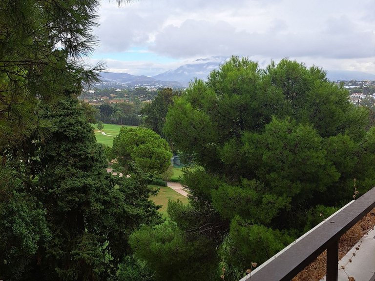 Apartment for Sale in Estepona, Malaga 20