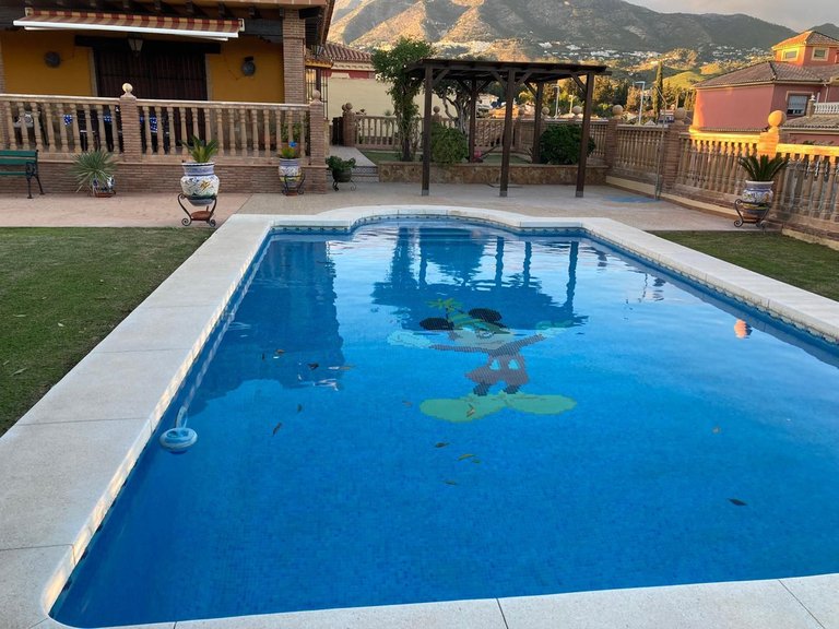 Villa for Sale in Mijas Costa, Malaga 41