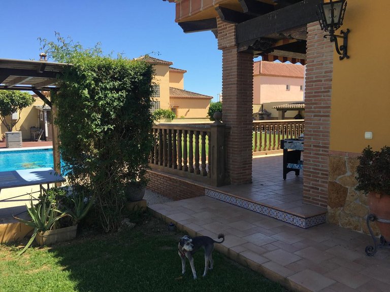 Villa for Sale in Mijas Costa, Malaga 63