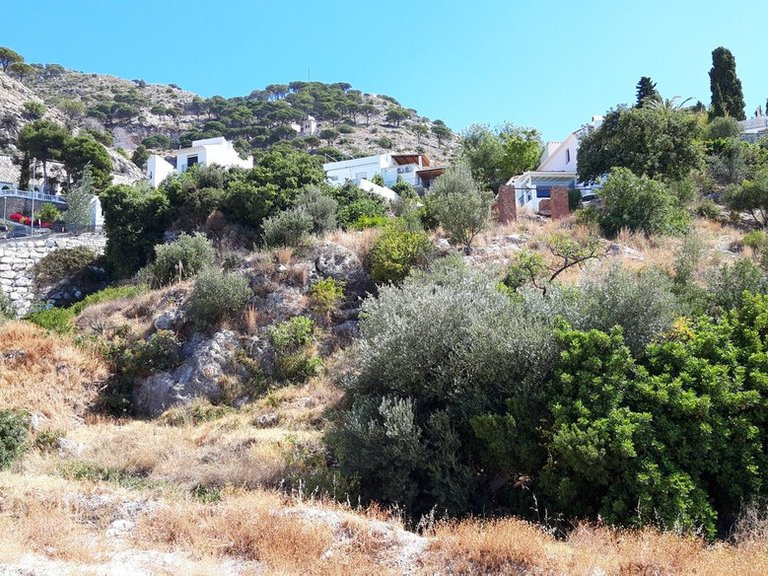 Plot for Sale in Mijas, Malaga 6