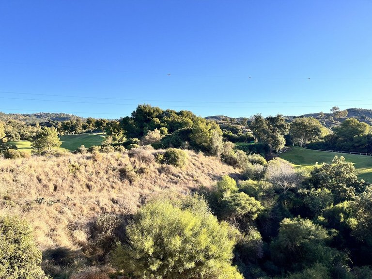 Apartment for Sale in Elviria, Malaga 23