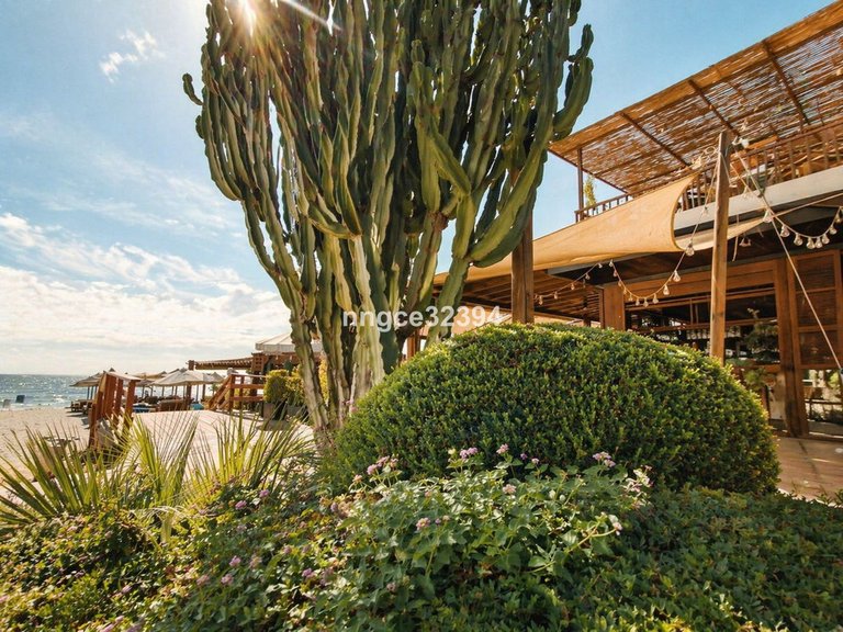 Apartment for Sale in New Golden Mile, Malaga 17