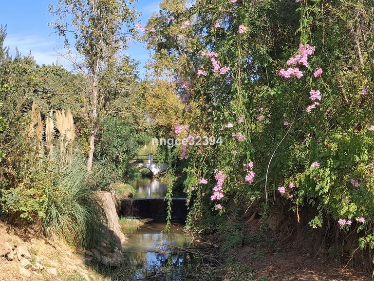 Apartment for Sale in New Golden Mile, Malaga 20