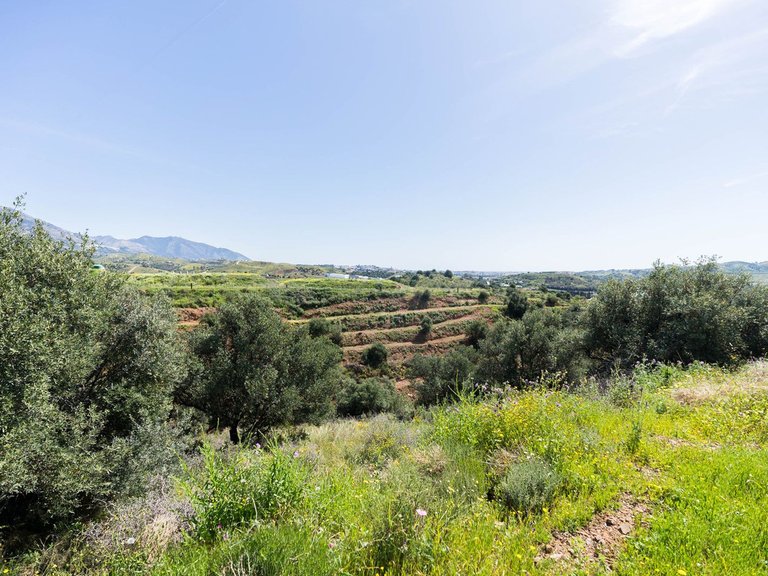 Plot for Sale in Mijas, Malaga 1