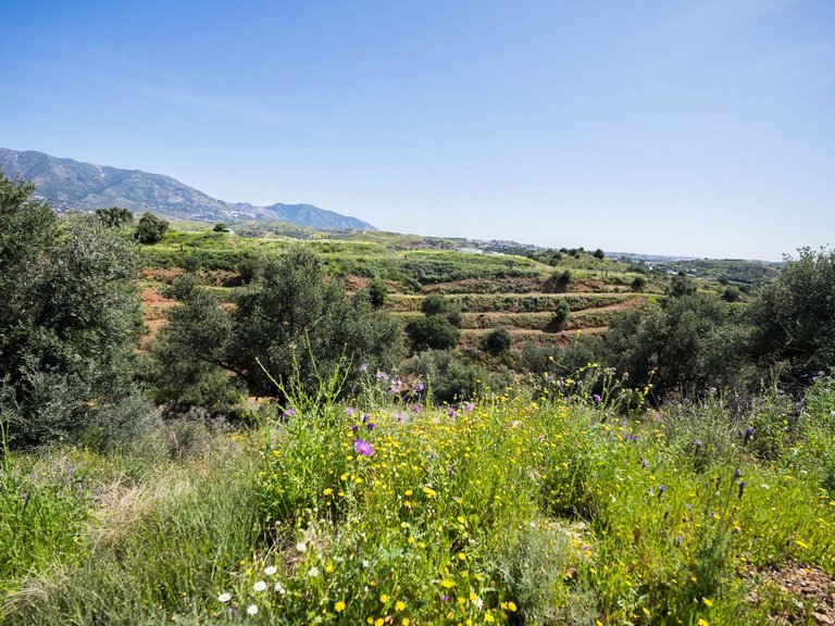 Plot for Sale in Mijas, Malaga 4