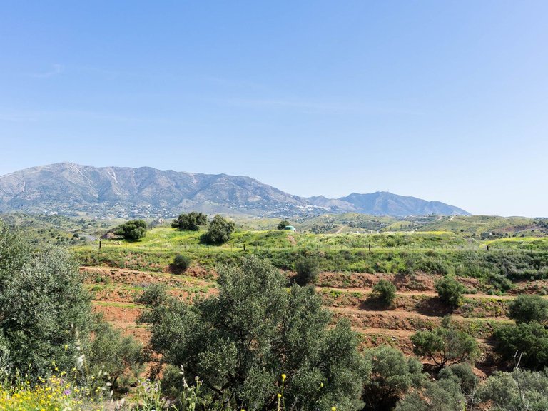 Plot for Sale in Mijas, Malaga 5