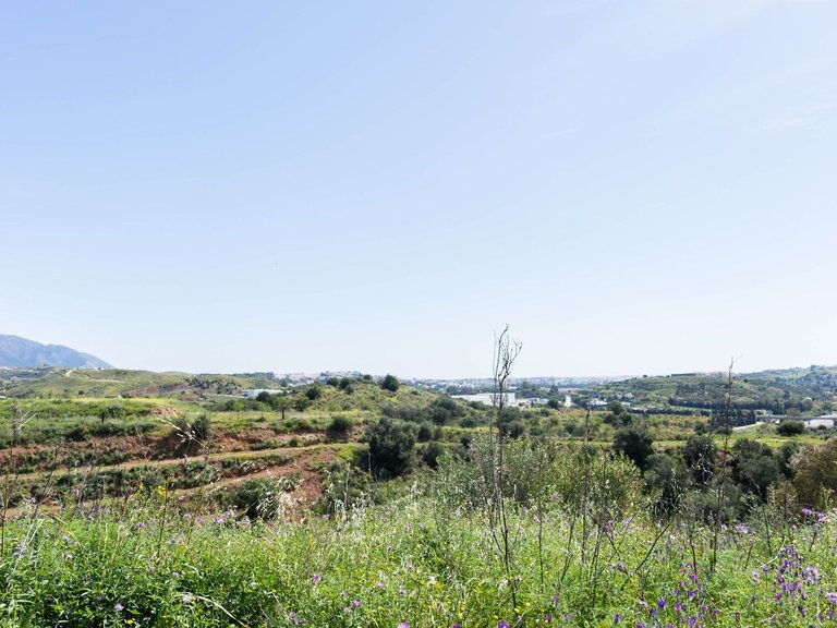 Plot for Sale in Mijas, Malaga 6