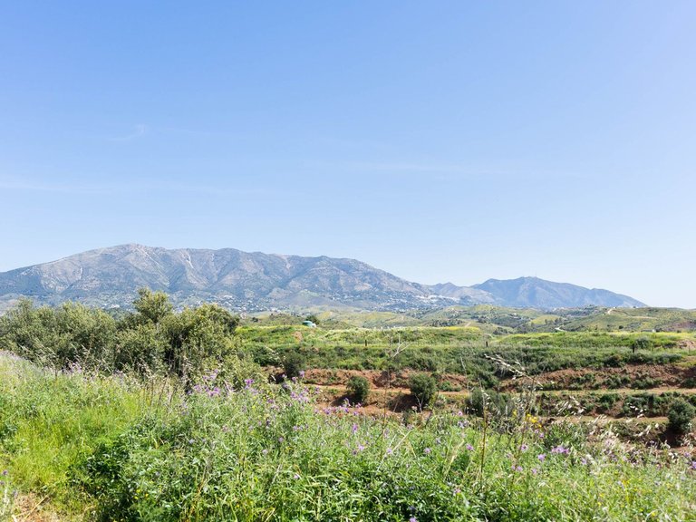 Plot for Sale in Mijas, Malaga 8