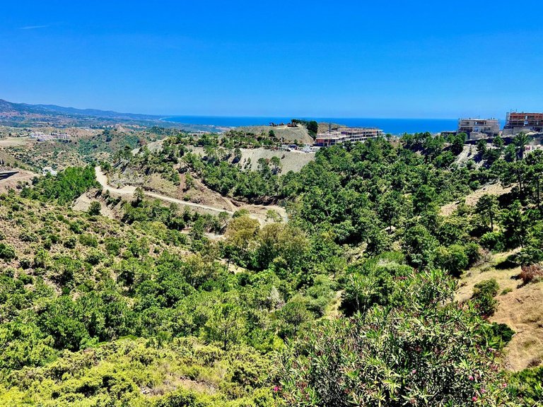 Plot for Sale in El Madroñal, Malaga 2
