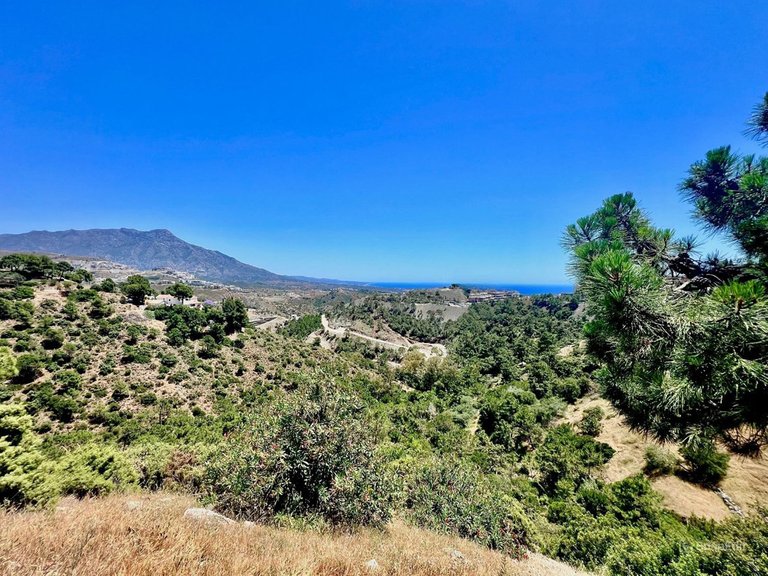 Plot for Sale in El Madroñal, Malaga 7