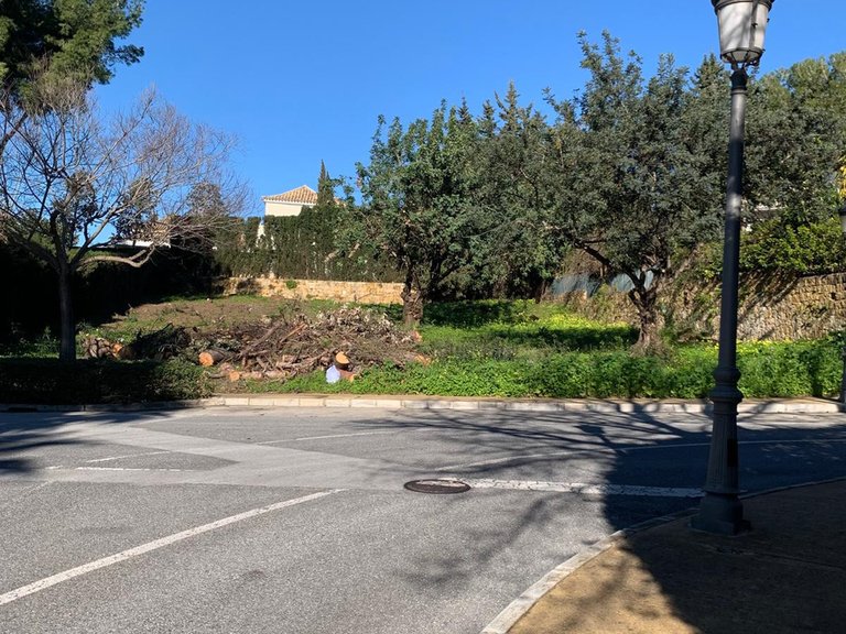 Plot for Sale in The Golden Mile, Malaga 10