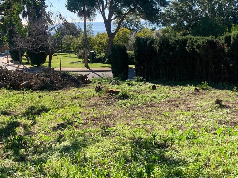 Plot for Sale in The Golden Mile, Malaga 14