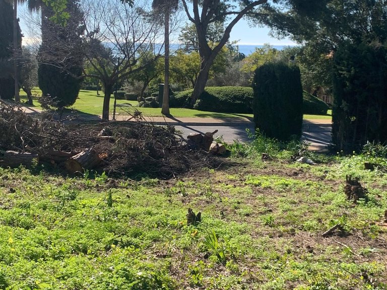 Plot for Sale in The Golden Mile, Malaga 16