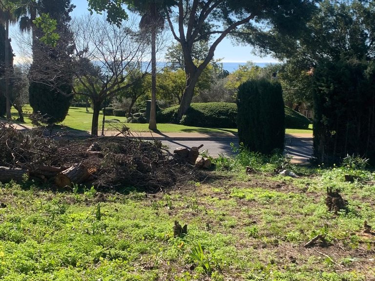 Plot for Sale in The Golden Mile, Malaga 18