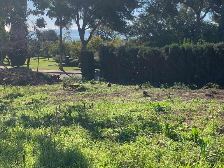 Plot for Sale in The Golden Mile, Malaga 2