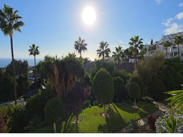 Apartment for Sale in Calahonda, Malaga 1