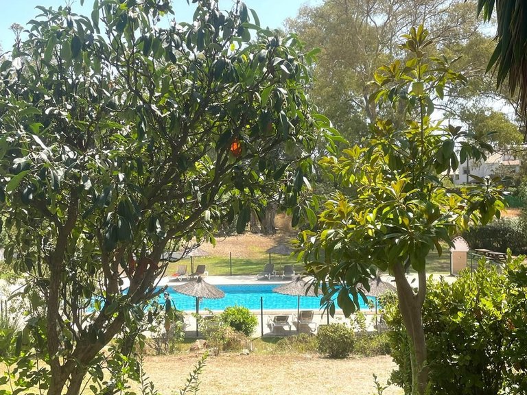 Villa for Sale in Estepona, Malaga 1
