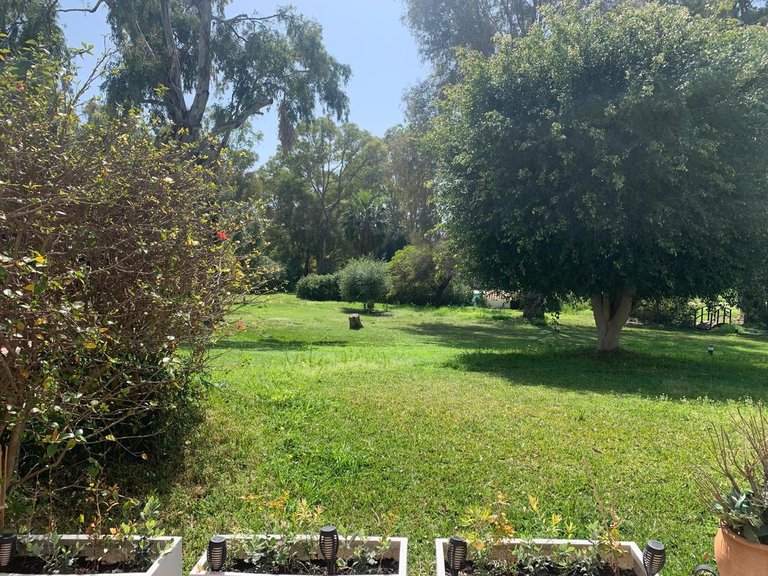 Villa for Sale in Estepona, Malaga 2