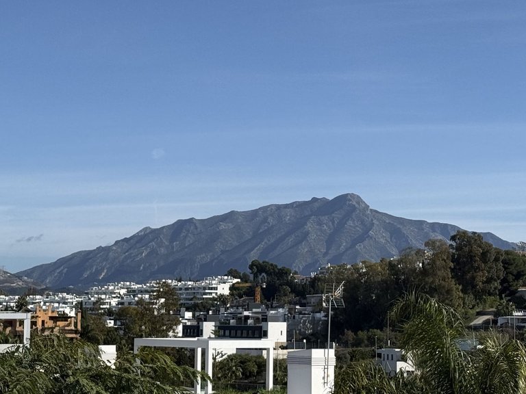 Villa for Sale in New Golden Mile, Malaga 10