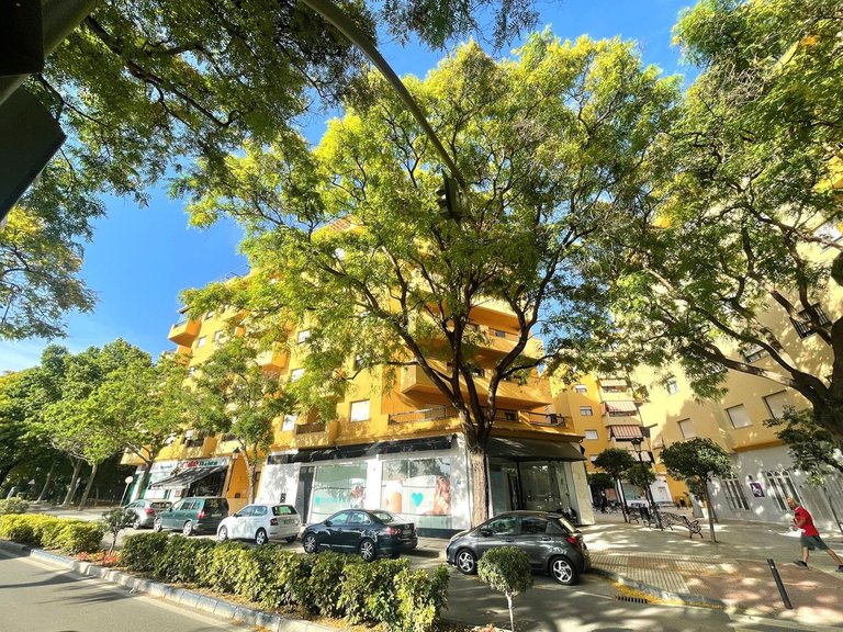 Apartment for Sale in San Pedro De Alcántara, Malaga 22