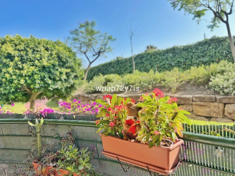 Apartment for Sale in Guadalmina Alta, Malaga 22
