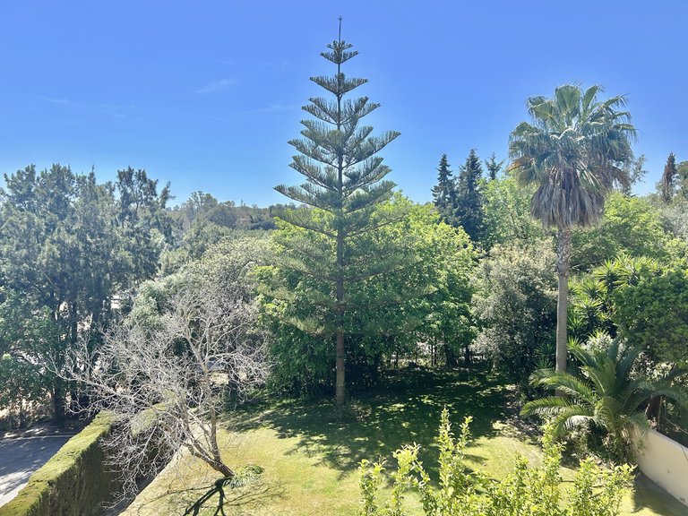 Apartment for Sale in Sotogrande Alto, Cadiz 3