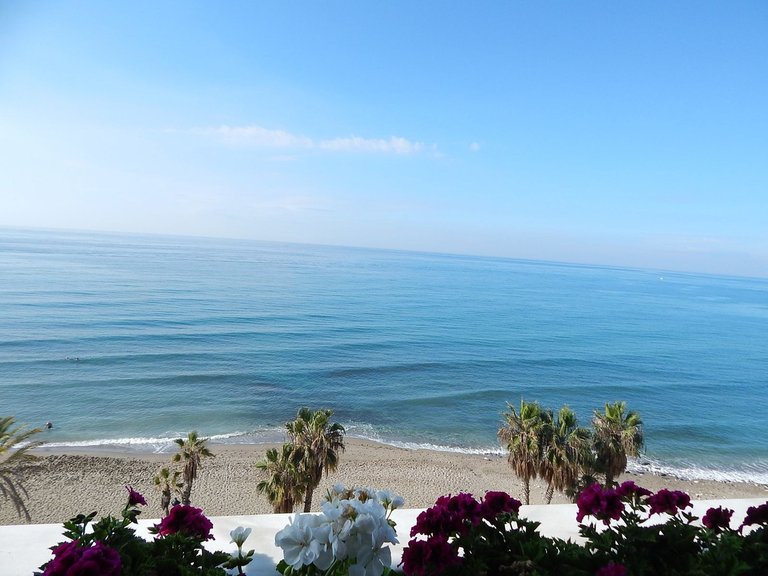 Apartment for Sale in Marbella, Malaga 3