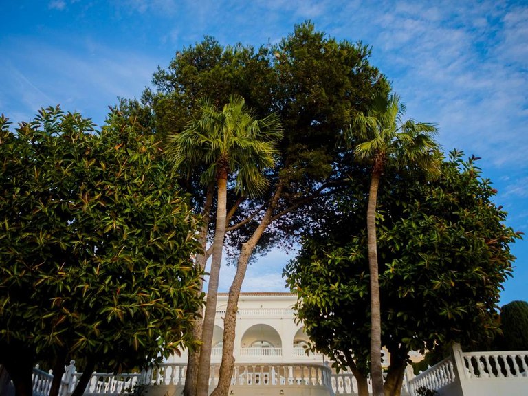 Villa for Sale in Benalmadena, Malaga 32