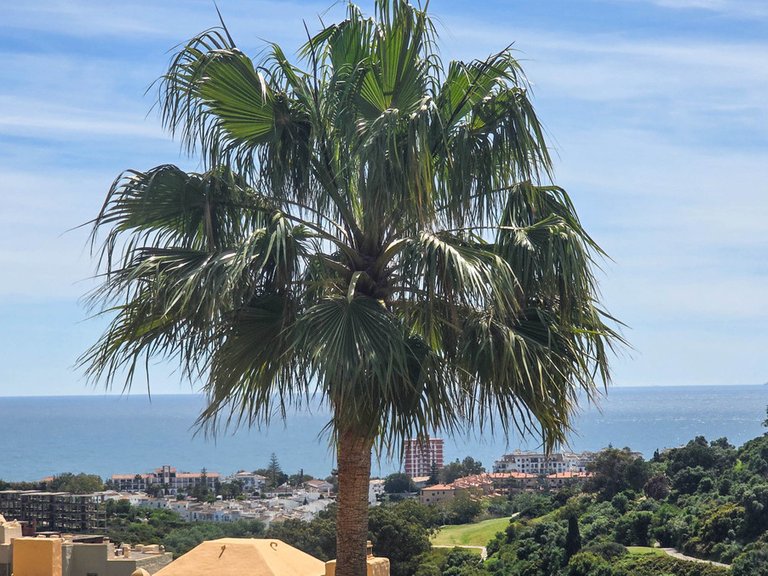 Apartment for Sale in La Duquesa, Malaga 27