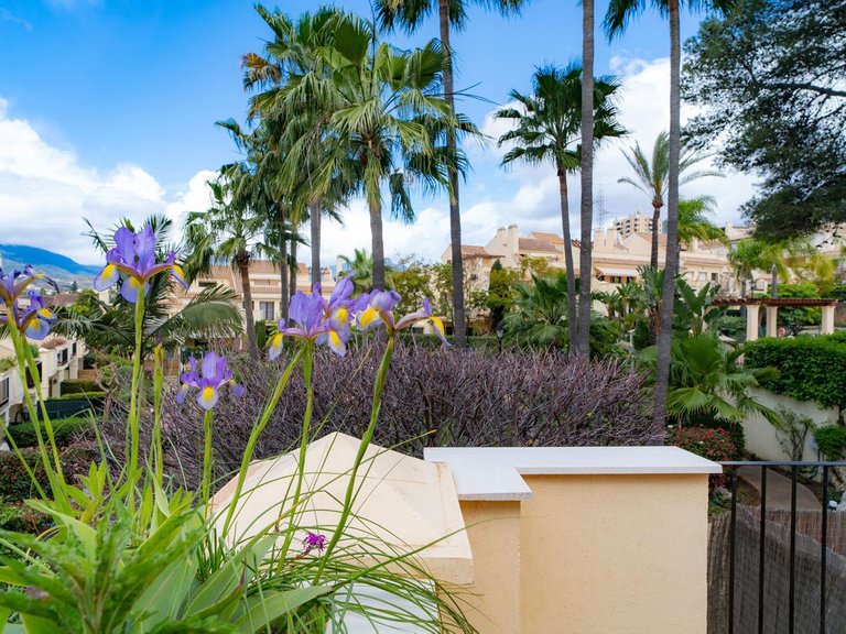Villa for Sale in Nueva Andalucía, Malaga 44