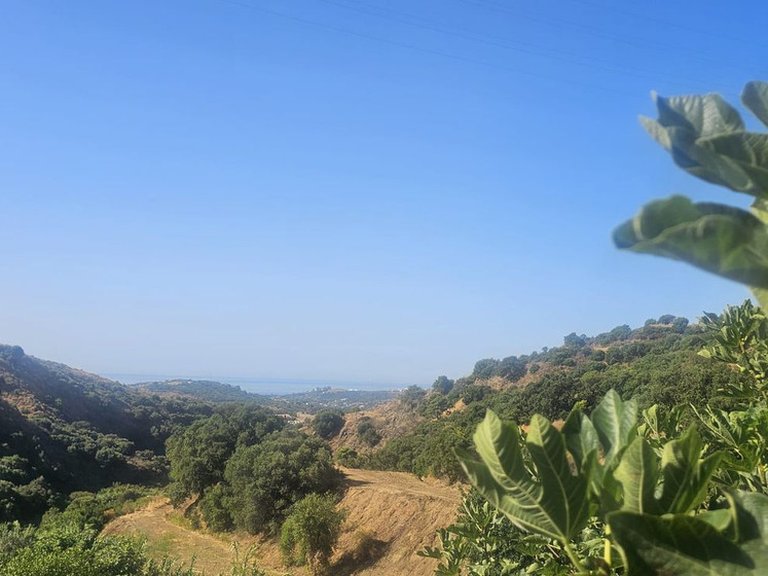 Villa for Sale in Estepona, Malaga 1