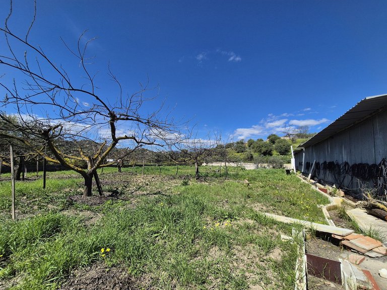 Villa for Sale in Coín, Malaga 71