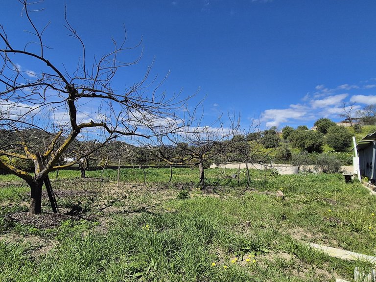 Villa for Sale in Coín, Malaga 73