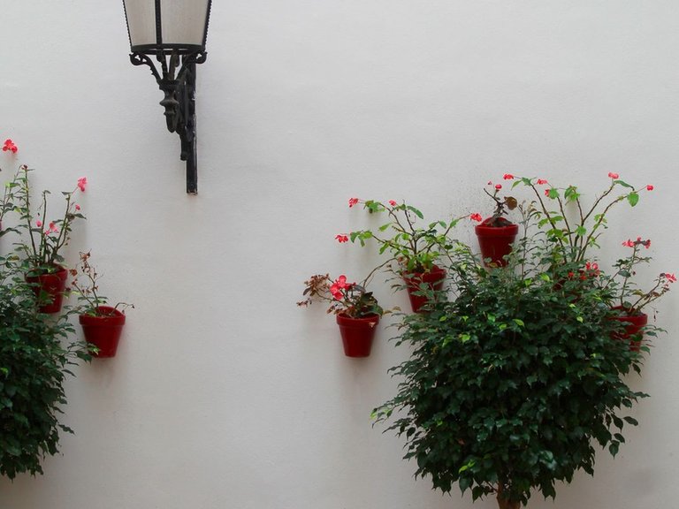 Apartment for Sale in Puerto Banús, Malaga 23