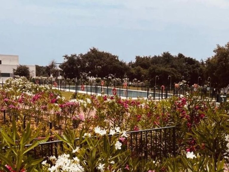 Apartment for Sale in Sotogrande, Cadiz 1