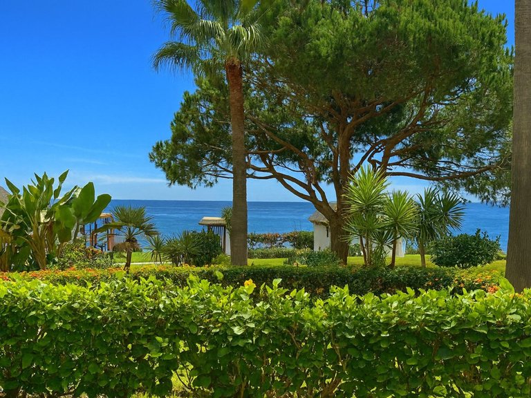 Apartment for Sale in Calahonda, Malaga 9