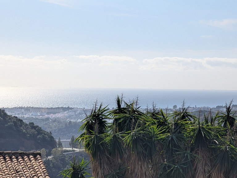 Villa for Sale in Istán, Malaga 23