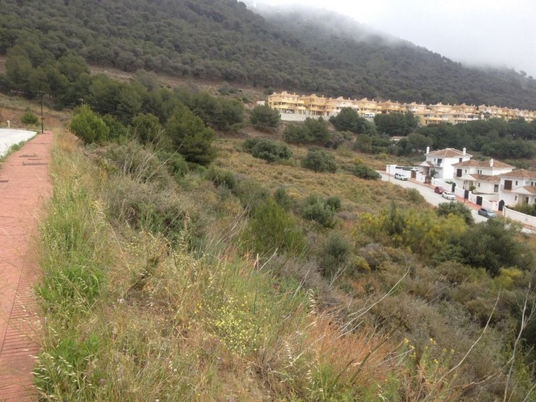 Plot for Sale in Mijas Costa, Malaga 8