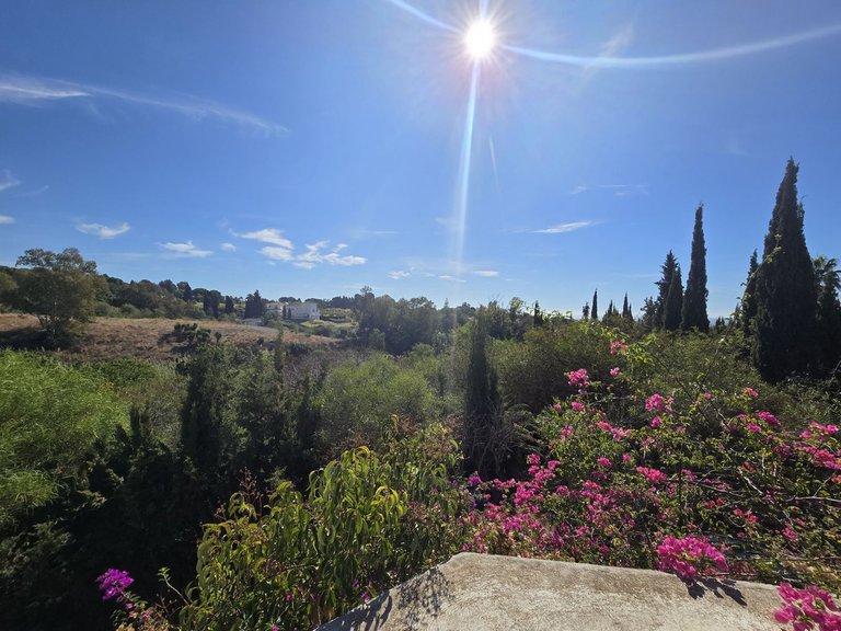 Villa for Sale in Costa del Sol, Marbella, Malaga 10