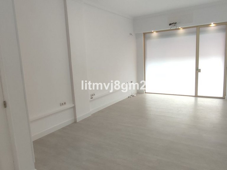 Commercial for Sale in Calahonda, Malaga 3