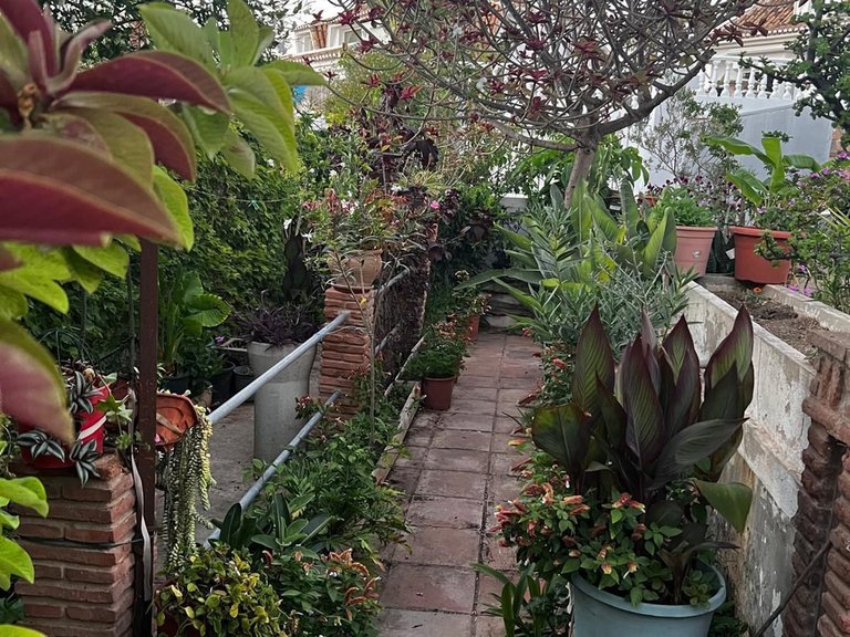 Villa for Sale in Torrequebrada, Malaga 21