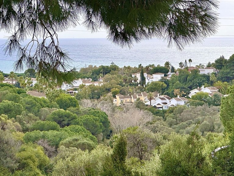 Villa for Sale in Calahonda, Malaga 18