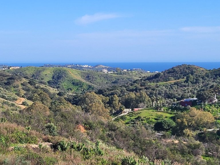 Plot for Sale in La Cala Golf, Malaga 4