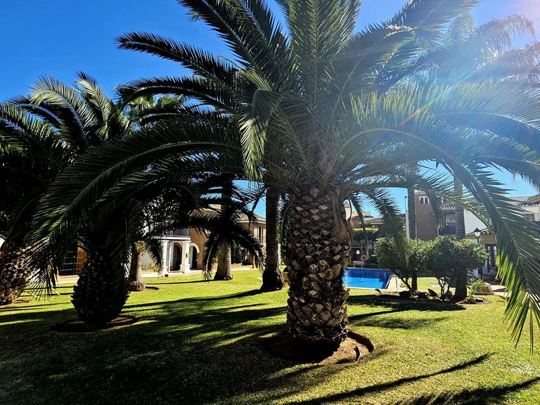 Penthouse for Sale in Costa del Sol Fuengirola, Malaga 22