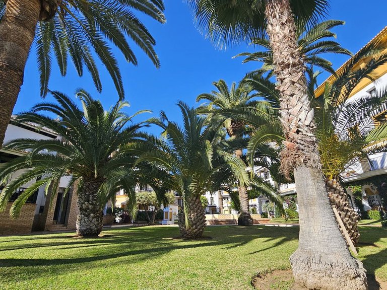Penthouse for Sale in Costa del Sol Fuengirola, Malaga 26