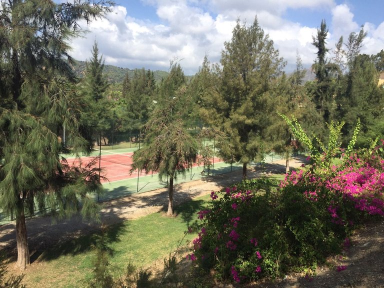 Apartment for Sale in Benahavís, Malaga 39